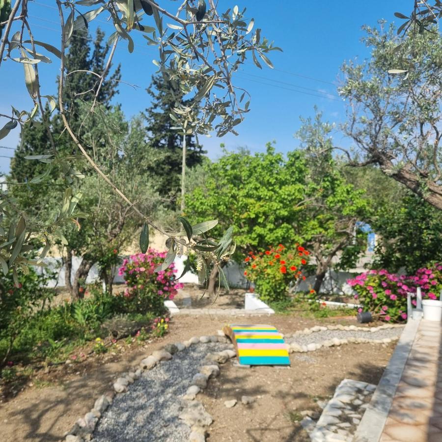 Arocaria - Faliraki Peaceful Apartments Kültér fotó